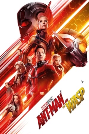 Ant-Man and the Wasp 2018 Movie (English) [300MB] HD Poster Download - Filmyzilla
