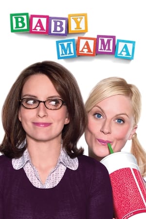 Baby Mama (2008) Hindi Dual Audio 300MB HD Poster Download - Filmyzilla