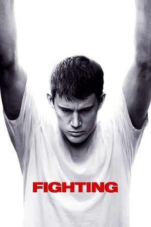 Fighting (2009) 100mb Hindi Dual Audio Download HD Poster Download - Filmyzilla