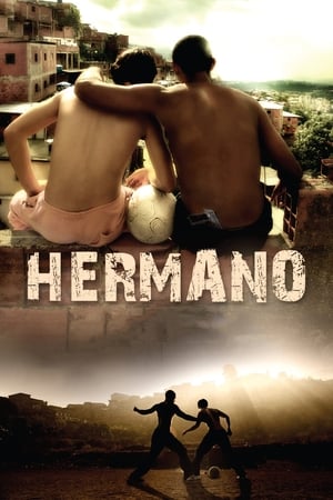 Hermano 2010 Hindi Dual Audio 300MB HD Poster Download - Filmyzilla