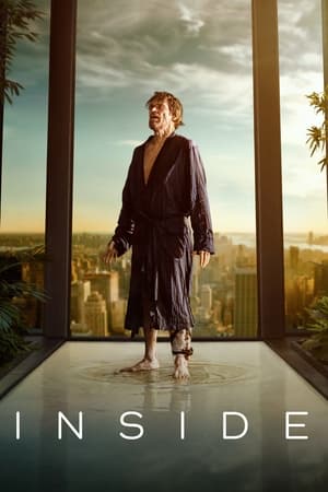 Inside (2023) Hindi Dual Audio – HD Poster Download - Filmyzilla