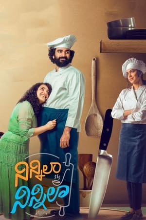 Ninnila Ninnila (2021) Hindi Movie [1GB] HD Poster Download - Filmyzilla
