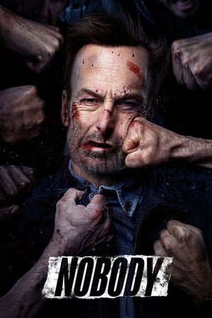 Nobody (2021) Hindi Dual Audio – – HD Poster Download - Filmyzilla