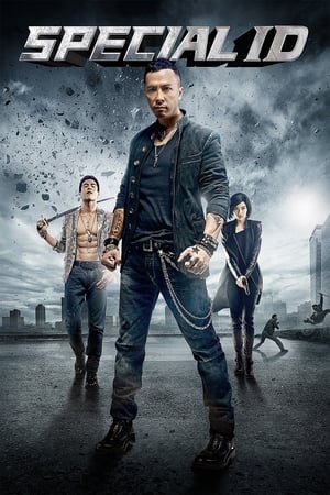 Special ID (2013) Hindi Dual Audio 300MB ESubs HD Poster Download - Filmyzilla