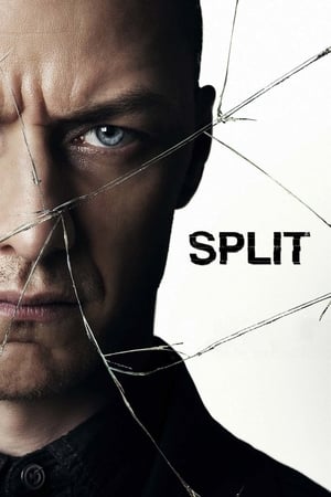 Split (2016) Hindi Dual Audio [1GB] HD Poster Download - Filmyzilla