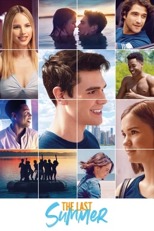 The Last Summer (2019) Hindi Dual Audio 350MB HD Poster Download - Filmyzilla